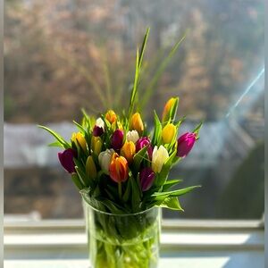 Meet your Posher, Camelia